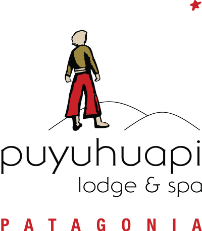 LOGO PUYUHUAPI