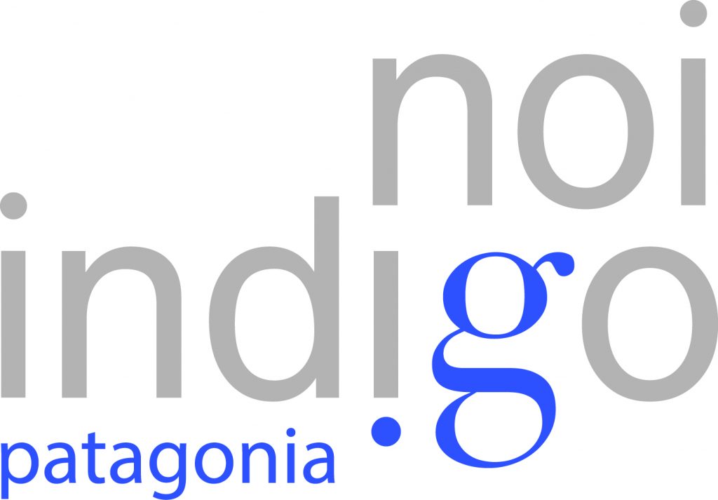 Logo_Noi_Indigo