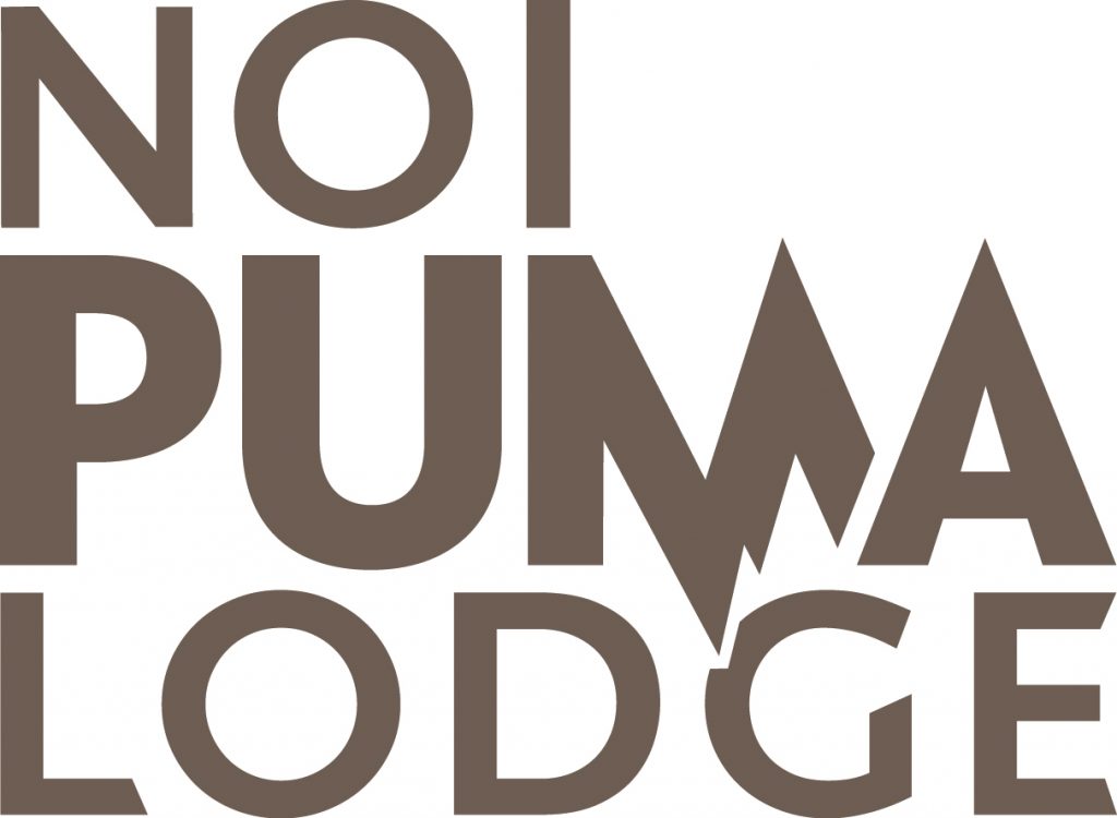 Logo_Noi_Puma